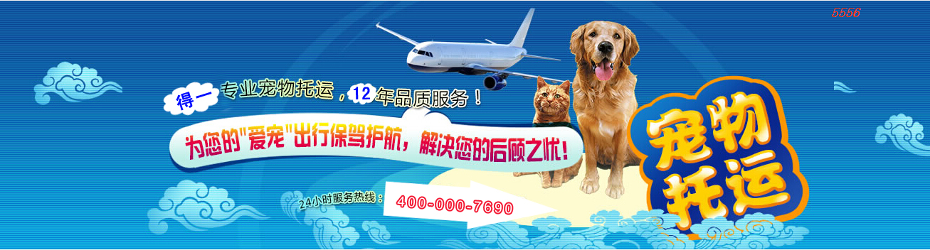 速派通宠物托运